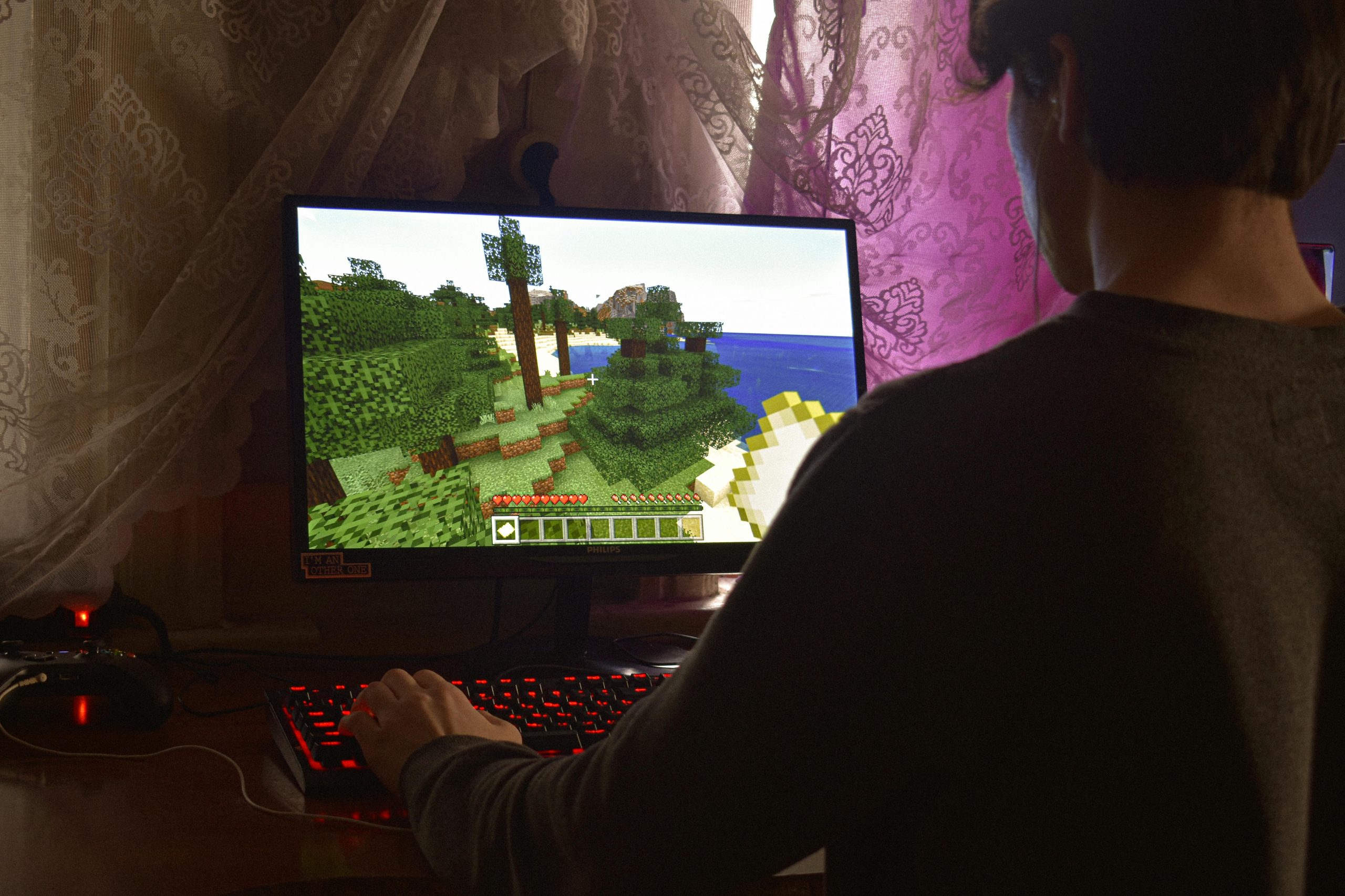 minecraft playing