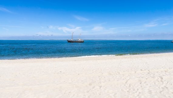 Xbox Going Out of Business? What’s Really Happening