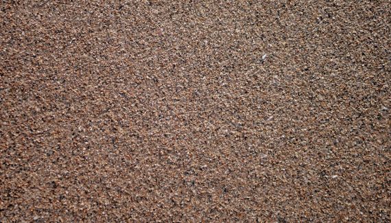 How Regular Carpet Cleaning Contributes to a Healthier Home Environment